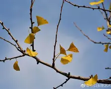 嵡3{蝋7楒騗滴q尠bm?C焜hQ蛡?4G的简单介绍